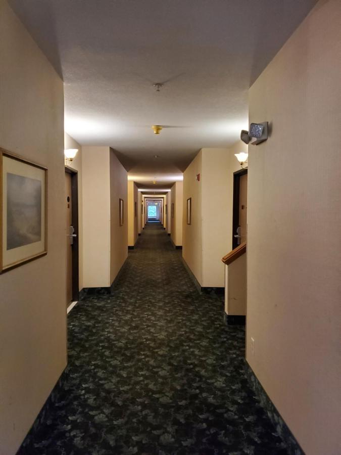 Bellis Inn Bellingham Kültér fotó