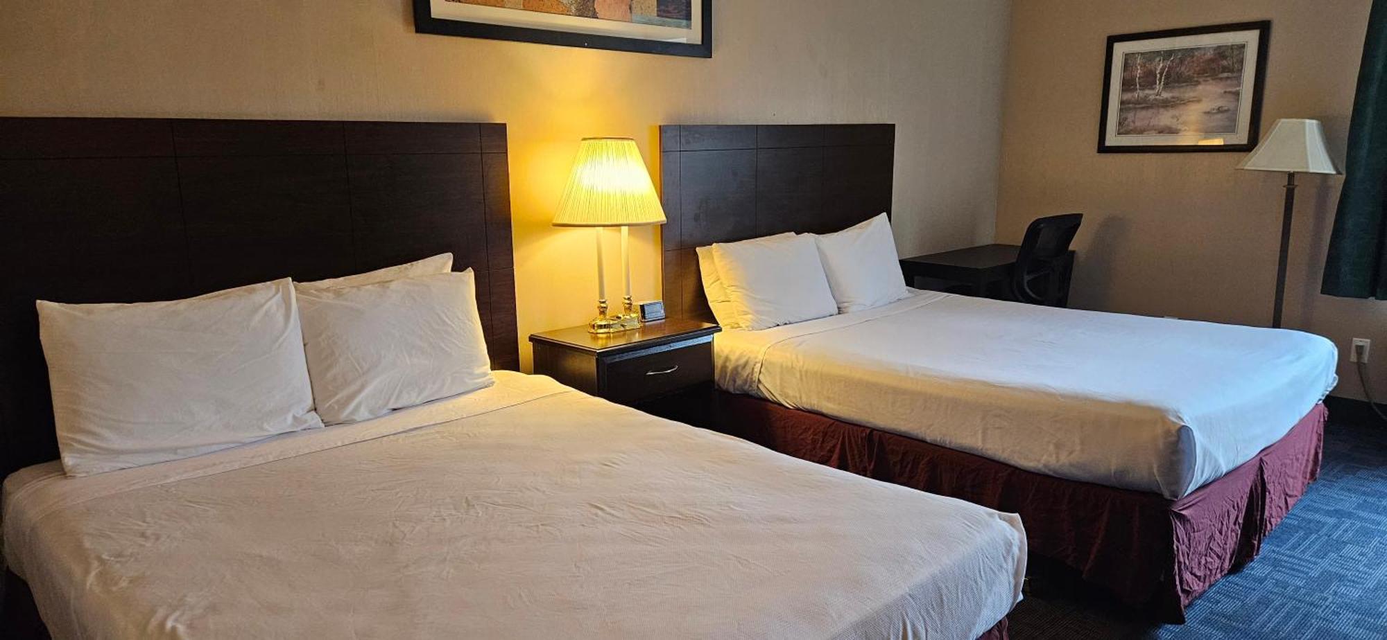 Bellis Inn Bellingham Kültér fotó