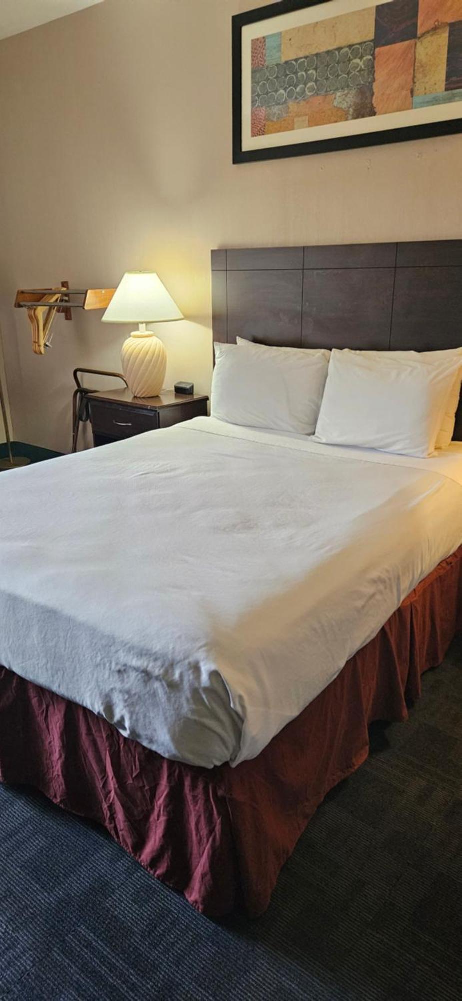 Bellis Inn Bellingham Kültér fotó