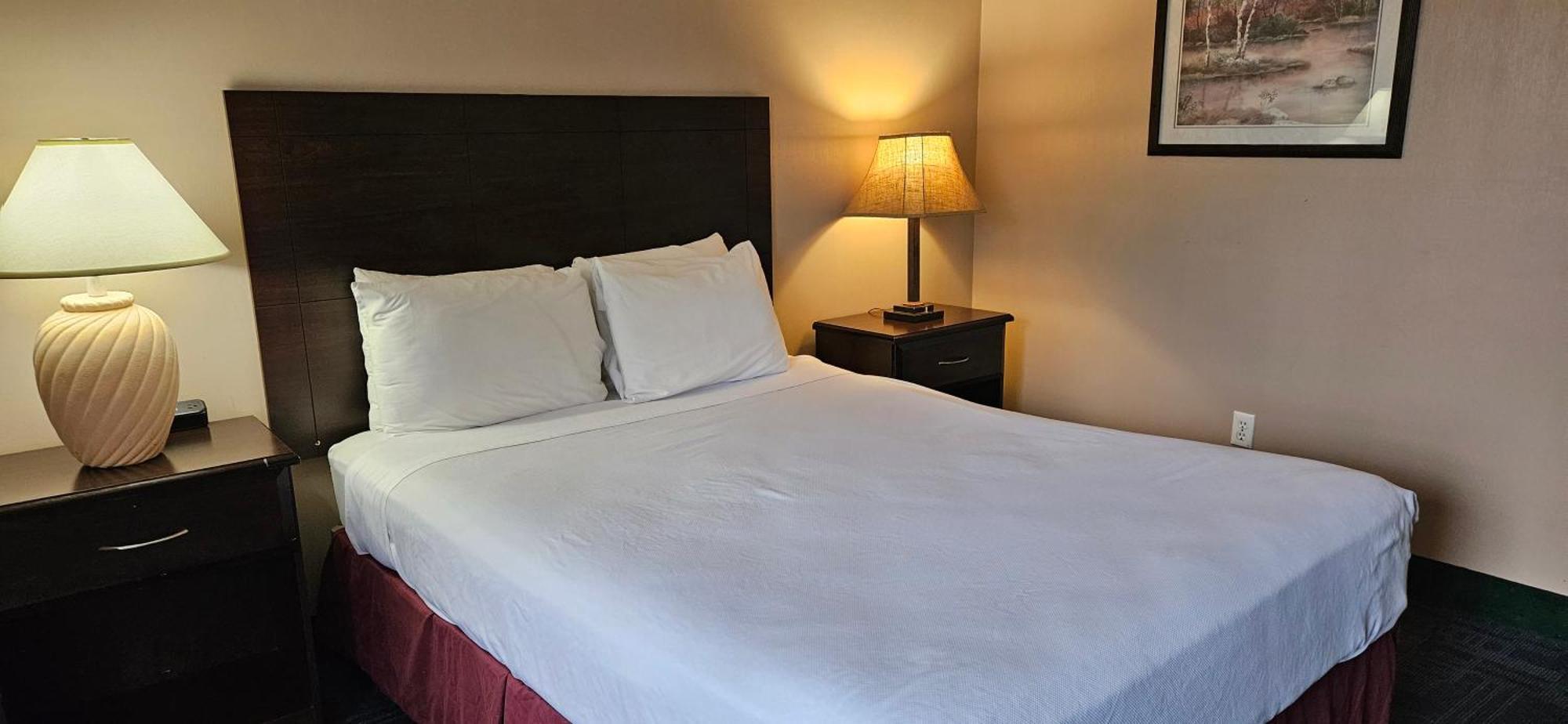 Bellis Inn Bellingham Kültér fotó